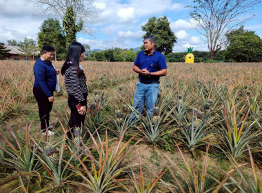 ติดตามการดำเนินงานกลุ่มอาชีพสังกัดสหกรณ์ พารามิเตอร์รูปภาพ 7