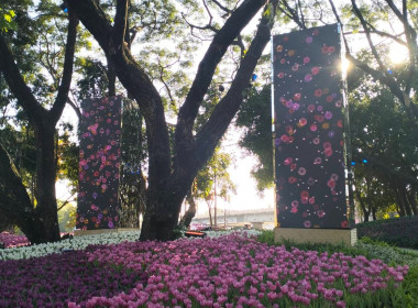 ร่วมรับเสด็จทูลกระหม่อมหญิงอุบลรัตนราชกัญญา ... พารามิเตอร์รูปภาพ 6