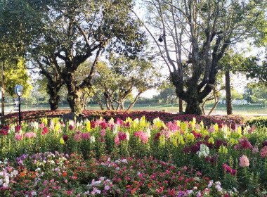 ร่วมรับเสด็จทูลกระหม่อมหญิงอุบลรัตนราชกัญญา ... พารามิเตอร์รูปภาพ 8