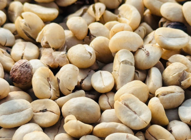 ติดตามผลการใช้เงินกู้กองทุนพัฒนาสหกรณ์และตรวจเยี่ยมสวนกาแฟและสวนแมคคาเดเมียของสมาชิกสหกรณ์การเกษตรเพื่อการตลาดลูกค้า ธ.ก.ส.เชียงราย จำกัด ... พารามิเตอร์รูปภาพ 3