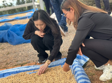 ติดตามผลการใช้เงินกู้กองทุนพัฒนาสหกรณ์และตรวจเยี่ยมสวนกาแฟและสวนแมคคาเดเมียของสมาชิกสหกรณ์การเกษตรเพื่อการตลาดลูกค้า ธ.ก.ส.เชียงราย จำกัด ... พารามิเตอร์รูปภาพ 8