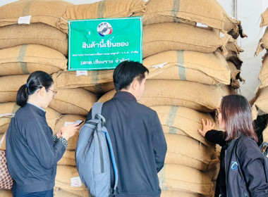 ติดตามผลการใช้เงินกู้กองทุนพัฒนาสหกรณ์และตรวจเยี่ยมสวนกาแฟและสวนแมคคาเดเมียของสมาชิกสหกรณ์การเกษตรเพื่อการตลาดลูกค้า ธ.ก.ส.เชียงราย จำกัด ... พารามิเตอร์รูปภาพ 18