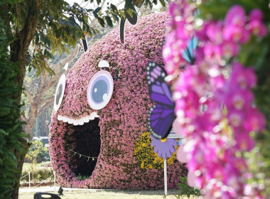 เข้าร่วมพิธีเปิดงาน “เชียงรายดอกไม้งาม” ปีที่ 22 พารามิเตอร์รูปภาพ 5