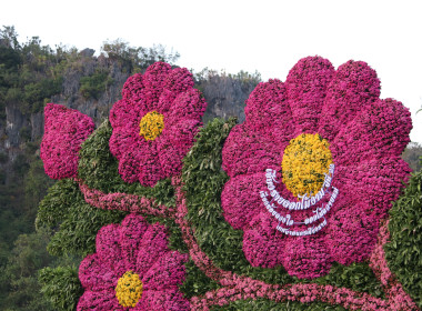 เข้าร่วมพิธีเปิดงาน “เชียงรายดอกไม้งาม” ปีที่ 22 พารามิเตอร์รูปภาพ 15