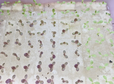 ลงพื้นที่เก็บข้อมูลเพิ่มเติม รางวัลเลิศรัฐ 2569 หัวข้อ ... พารามิเตอร์รูปภาพ 10