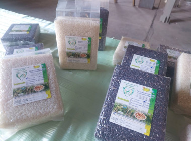 ลงพื้นที่ติดตามอธิบดีกรมส่งเสริมสหกรณ์ตรวจเยี่ยมโรงปรับปรุงเมล็ดพันธุ์ข้าวของสหกรณ์การเกษตรแม่ใจ จำกัด อำเภอแม่ใจ จังหวัดพะเยา ... พารามิเตอร์รูปภาพ 12