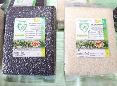 ลงพื้นที่ติดตามอธิบดีกรมส่งเสริมสหกรณ์ตรวจเยี่ยมโรงปรับปรุงเมล็ดพันธุ์ข้าวของสหกรณ์การเกษตรแม่ใจ จำกัด อำเภอแม่ใจ จังหวัดพะเยา ... พารามิเตอร์รูปภาพ 14