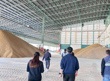 ตรวจสอบปริมาณและมูลค่าข้าวโพดเลี้ยงสัตว์ ... พารามิเตอร์รูปภาพ 6