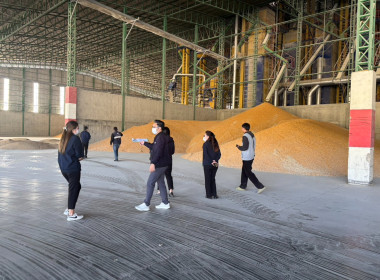 ตรวจสอบปริมาณและมูลค่าข้าวโพดเลี้ยงสัตว์ ... พารามิเตอร์รูปภาพ 8