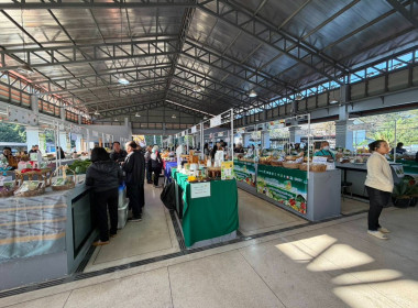 เข้าร่วมเปิดงานมหกรรมสินค้าเกษตร ตลาดเกษตรกรสีเขียว พารามิเตอร์รูปภาพ 5