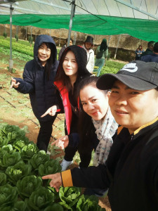 โครงการยกระดับศักยภาพสถาบันเกษตรกรให้เป็นผู้ให้บริการทางการเกษตรแบบครบวงจร ... พารามิเตอร์รูปภาพ 1