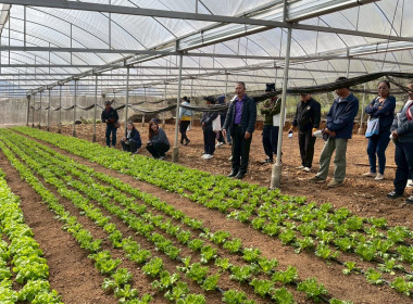 โครงการยกระดับศักยภาพสถาบันเกษตรกรให้เป็นผู้ให้บริการทางการเกษตรแบบครบวงจร ... พารามิเตอร์รูปภาพ 5