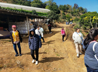 โครงการยกระดับศักยภาพสถาบันเกษตรกรให้เป็นผู้ให้บริการทางการเกษตรแบบครบวงจร ... พารามิเตอร์รูปภาพ 8