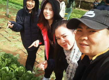 โครงการยกระดับศักยภาพสถาบันเกษตรกรให้เป็นผู้ให้บริการทางการเกษตรแบบครบวงจร ... พารามิเตอร์รูปภาพ 11