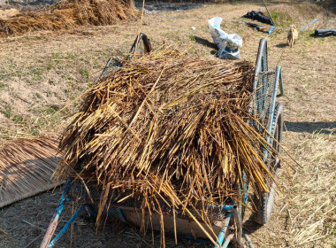 ลงพื้นที่ประสานงานเตรียมจัดโครงการประชุมเชิงปฏิบัติการสร้างมูลค่าเพิ่มจากวัสดุเหลือใช้ทางการเกษตร ... พารามิเตอร์รูปภาพ 3