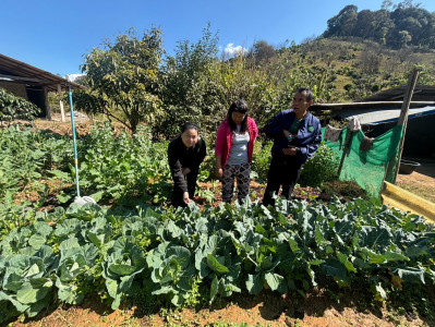 เข้าตรวจเยี่ยม ... พารามิเตอร์รูปภาพ 1