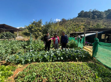 เข้าตรวจเยี่ยม ... พารามิเตอร์รูปภาพ 1