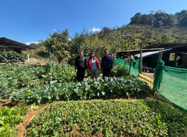 เข้าตรวจเยี่ยม ... พารามิเตอร์รูปภาพ 2