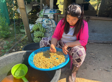 เข้าตรวจเยี่ยม ... พารามิเตอร์รูปภาพ 5