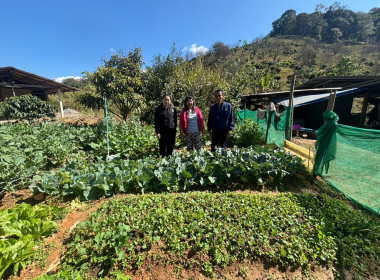 เข้าตรวจเยี่ยม ... พารามิเตอร์รูปภาพ 6