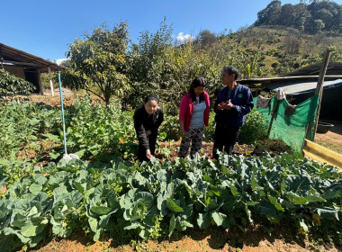 เข้าตรวจเยี่ยม ... พารามิเตอร์รูปภาพ 8