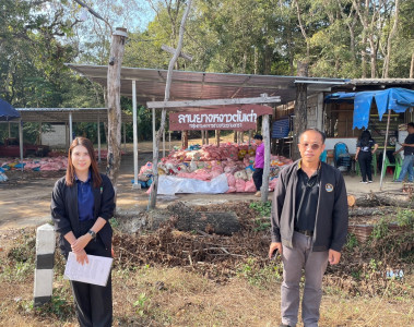 ติดตามธุรกิจรวบรวมผลผลิตยางพาราของกลุ่มเกษตรกรชาวสวนยางหงาว-ตับเต่า ... พารามิเตอร์รูปภาพ 1