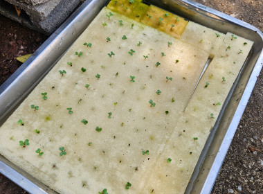 เข้าตรวจเยี่ยมสมาชิกที่เข้าร่วมโครงการแก้ไขปัญหาหนี้สิน ... พารามิเตอร์รูปภาพ 1