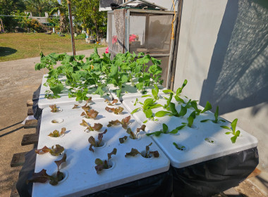 เข้าตรวจเยี่ยมสมาชิกที่เข้าร่วมโครงการแก้ไขปัญหาหนี้สิน ... พารามิเตอร์รูปภาพ 3