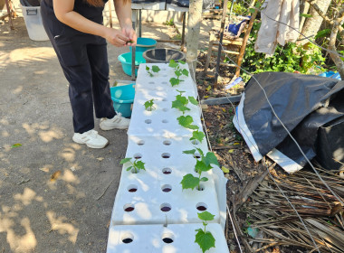 เข้าตรวจเยี่ยมสมาชิกที่เข้าร่วมโครงการแก้ไขปัญหาหนี้สิน ... พารามิเตอร์รูปภาพ 4