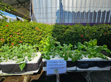 เข้าตรวจเยี่ยมสมาชิกที่เข้าร่วมโครงการแก้ไขปัญหาหนี้สิน ... พารามิเตอร์รูปภาพ 7