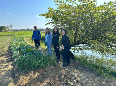 เจ้าหน้าที่กลุ่มส่งเสริมสหกรณ์ 2 ... พารามิเตอร์รูปภาพ 9