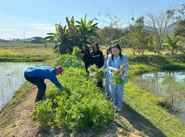 เจ้าหน้าที่กลุ่มส่งเสริมสหกรณ์ 2 ... พารามิเตอร์รูปภาพ 14