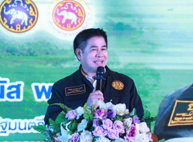 ติดตามรองนายกรัฐมนตรี ... พารามิเตอร์รูปภาพ 3