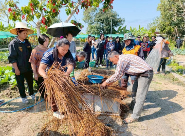 โครงการประชุมเชิงปฏิบัติการการสร้างมูลค่าเพิ่มจากวัสดุเหลือใช้ทางการเกษตร ... พารามิเตอร์รูปภาพ 13