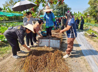 โครงการประชุมเชิงปฏิบัติการการสร้างมูลค่าเพิ่มจากวัสดุเหลือใช้ทางการเกษตร ... พารามิเตอร์รูปภาพ 14