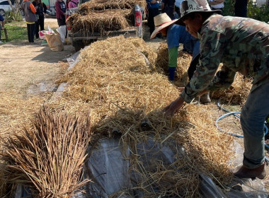 โครงการประชุมเชิงปฏิบัติการการสร้างมูลค่าเพิ่มจากวัสดุเหลือใช้ทางการเกษตร ... พารามิเตอร์รูปภาพ 16