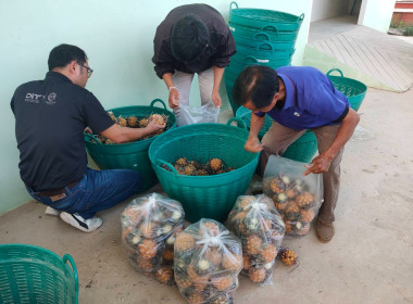 เข้าร่วมประชุมหาแนวทางแก้ไขปัญหาราคาสับปะรดภูแลตกต่ำในจังหวัดเชียงราย ... พารามิเตอร์รูปภาพ 1