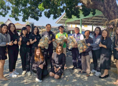 สำนักงานสหกรณ์จังหวัดเชียงรายกระจายผลผลิตสับปะรดภูแลออกนอกพื้นที่การผลิต ... พารามิเตอร์รูปภาพ 3