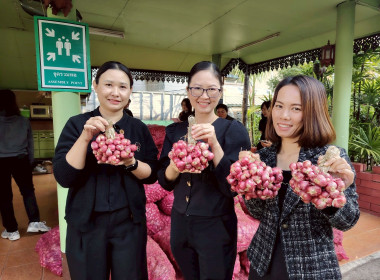 สำนักงานสหกรณ์จังหวัดเชียงรายร่วมกับขบวนการสหกรณ์ในจังหวัดเชียงราย กระจายผลผลิตหอมแดง เพื่อช่วยเหลือสมาชิกสหกรณ์ผู้ปลูกหอมแดง จังหวัดศรีสะเกษ ... พารามิเตอร์รูปภาพ 8