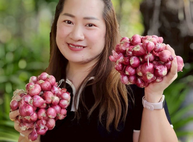 สำนักงานสหกรณ์จังหวัดเชียงรายร่วมกับขบวนการสหกรณ์ในจังหวัดเชียงราย กระจายผลผลิตหอมแดง เพื่อช่วยเหลือสมาชิกสหกรณ์ผู้ปลูกหอมแดง จังหวัดศรีสะเกษ ... พารามิเตอร์รูปภาพ 11