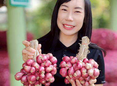สำนักงานสหกรณ์จังหวัดเชียงรายร่วมกับขบวนการสหกรณ์ในจังหวัดเชียงราย กระจายผลผลิตหอมแดง เพื่อช่วยเหลือสมาชิกสหกรณ์ผู้ปลูกหอมแดง จังหวัดศรีสะเกษ ... พารามิเตอร์รูปภาพ 12