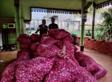 สำนักงานสหกรณ์จังหวัดเชียงรายร่วมกับขบวนการสหกรณ์ในจังหวัดเชียงราย กระจายผลผลิตหอมแดง เพื่อช่วยเหลือสมาชิกสหกรณ์ผู้ปลูกหอมแดง จังหวัดศรีสะเกษ ... พารามิเตอร์รูปภาพ 3