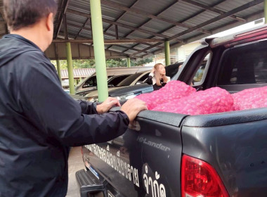 สำนักงานสหกรณ์จังหวัดเชียงรายร่วมกับขบวนการสหกรณ์ในจังหวัดเชียงราย กระจายผลผลิตหอมแดง เพื่อช่วยเหลือสมาชิกสหกรณ์ผู้ปลูกหอมแดง จังหวัดศรีสะเกษ ... พารามิเตอร์รูปภาพ 35