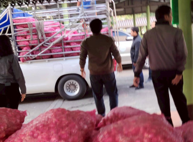 สำนักงานสหกรณ์จังหวัดเชียงรายร่วมกับขบวนการสหกรณ์ในจังหวัดเชียงราย กระจายผลผลิตหอมแดง เพื่อช่วยเหลือสมาชิกสหกรณ์ผู้ปลูกหอมแดง จังหวัดศรีสะเกษ ... พารามิเตอร์รูปภาพ 40