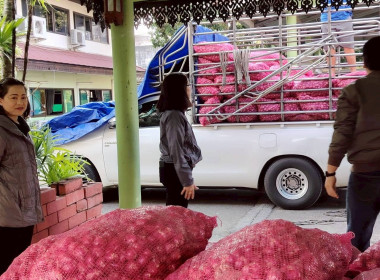 สำนักงานสหกรณ์จังหวัดเชียงรายร่วมกับขบวนการสหกรณ์ในจังหวัดเชียงราย กระจายผลผลิตหอมแดง เพื่อช่วยเหลือสมาชิกสหกรณ์ผู้ปลูกหอมแดง จังหวัดศรีสะเกษ ... พารามิเตอร์รูปภาพ 41