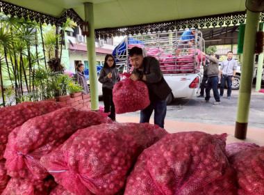 สำนักงานสหกรณ์จังหวัดเชียงรายร่วมกับขบวนการสหกรณ์ในจังหวัดเชียงราย กระจายผลผลิตหอมแดง เพื่อช่วยเหลือสมาชิกสหกรณ์ผู้ปลูกหอมแดง จังหวัดศรีสะเกษ ... พารามิเตอร์รูปภาพ 42