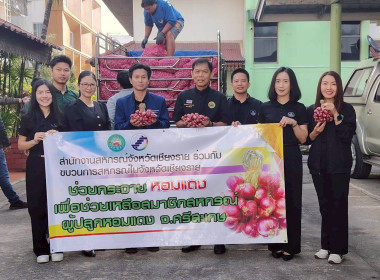 สำนักงานสหกรณ์จังหวัดเชียงรายร่วมกับขบวนการสหกรณ์ในจังหวัดเชียงราย กระจายผลผลิตหอมแดง เพื่อช่วยเหลือสมาชิกสหกรณ์ผู้ปลูกหอมแดง จังหวัดศรีสะเกษ ... พารามิเตอร์รูปภาพ 43