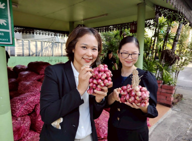 สำนักงานสหกรณ์จังหวัดเชียงรายร่วมกับขบวนการสหกรณ์ในจังหวัดเชียงราย กระจายผลผลิตหอมแดง เพื่อช่วยเหลือสมาชิกสหกรณ์ผู้ปลูกหอมแดง จังหวัดศรีสะเกษ ... พารามิเตอร์รูปภาพ 7