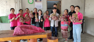 ร่วมกระจายผลผลิตหอมแดงสดจากเกษตรกรจังหวัดศรีสะเกษ ... พารามิเตอร์รูปภาพ 1