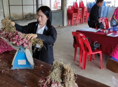 ร่วมกระจายผลผลิตหอมแดงสดจากเกษตรกรจังหวัดศรีสะเกษ ... พารามิเตอร์รูปภาพ 1
